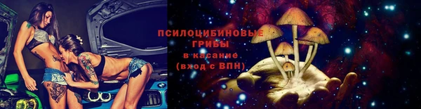 МДПВ Волосово