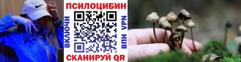 Псилоцибиновые грибы Cubensis  Муром 